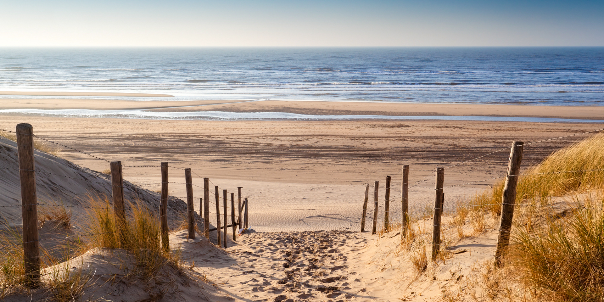 Gold Coast Photography Professional Photographers for Hire