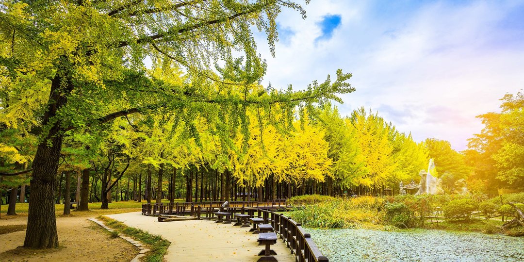 Hasil gambar untuk nami island